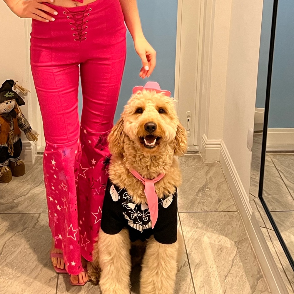 Barbie Dog “Ken” Costume - Picture 4 of 5